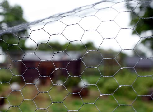Ограда из металлической сетки
