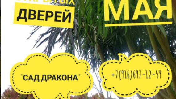 Приглашаем на дни открытых дверей!