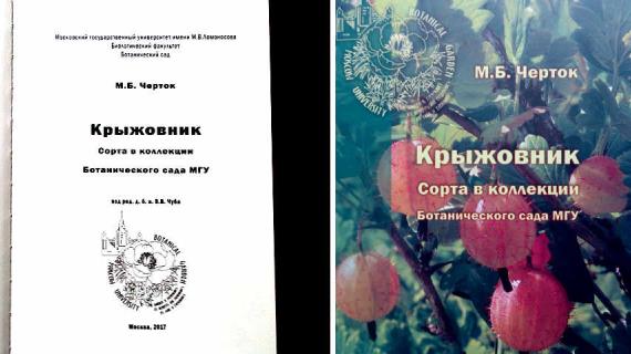 Книга о крыжовнике