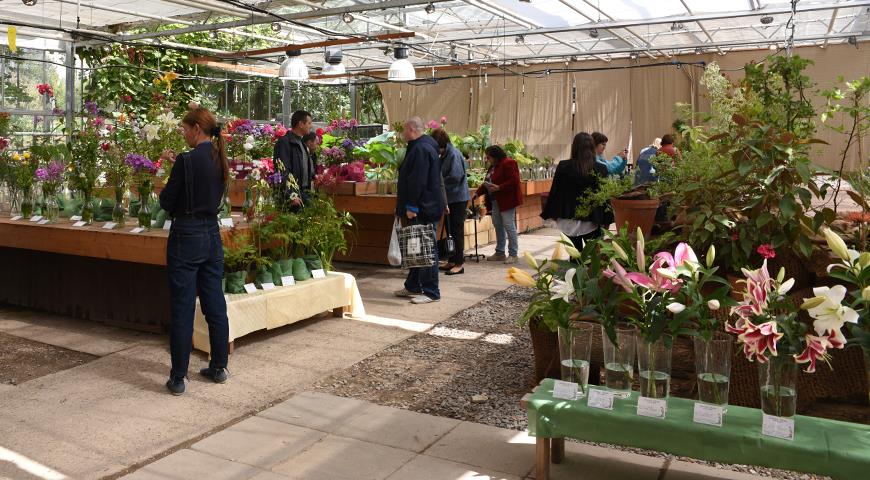 Выставка лилий, лилейников, флоксов и декоративных кустарников в Аптекарском огороде