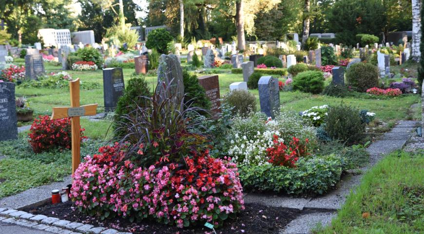 Застывшая красота: какие цветы посадить на кладбище
