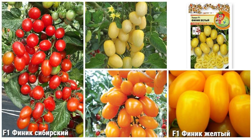 сладкие томаты Русский огород