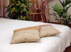 Электропростыня