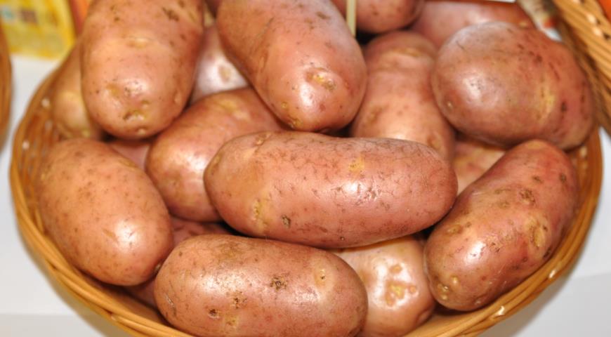 Сорта картофеля для воронежской области фото и описание