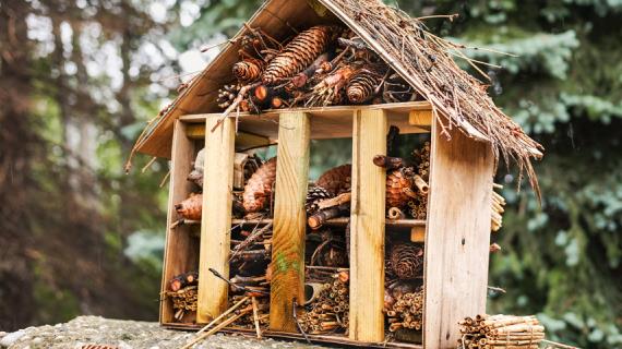 Домики для насекомых своими руками